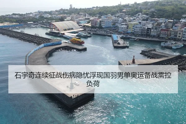 石宇奇连续征战伤病隐忧浮现国羽男单奥运备战需控负荷